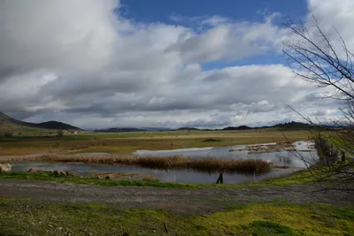 DSC_1016 (Large).JPG